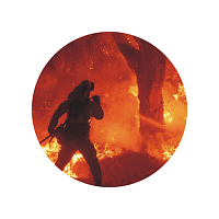 Лесные пожары